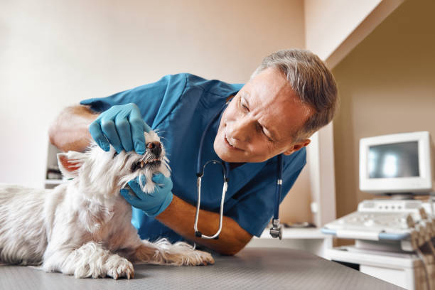 Best Cracked Tooth Emergency Dentist  in Salyersville, KY